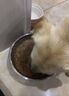 憨憨乐园狗碗大型犬水盆狗盆不锈钢碗宠物食盆中型犬喝水狗狗食碗猫碗饭盆 实拍图