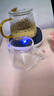 天喜煮茶壶玻璃烧水壶围炉器具加厚高硼硅可明火电陶炉加热提梁泡茶壶 实拍图