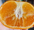 芫曦【现货】云南哀牢山冰糖橙柑橘脐橙新鲜水果应当季送礼品物盒 5斤 单果65-75mm 净重4.5斤 实拍图