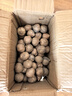 志褚独头蒜大蒜头 2024云南大理紫皮独蒜 精品新鲜现挖湿蒜 2斤装【中果2.5-3.0cm】 实拍图