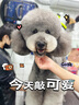 比乐狗粮 守护者系列 全价鸭肉梨小型中大型犬粮泰迪金毛田园犬幼犬粮 鸭肉梨口味24斤【全年龄段】 实拍图