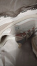 斯凯奇（Skechers）奶茶熊女鞋夏季厚底老爹鞋软底透气百搭熊猫鞋休闲运动鞋149238 实拍图