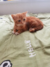 卫仕营养化毛膏120g 狗狗猫咪微量元素维生素鱼油去毛吐毛化毛球片 实拍图
