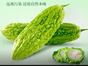 养益君苦瓜汁水饮料无添加剂果蔬汁无蔗糖饮品蔬菜汁300ml（30ml*10袋） 实拍图