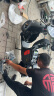 九号（Ninebot）电动车远行者F90M电动长续航自行车【门店自提】 到门店选颜色 实拍图