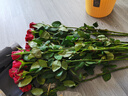 一网情深玫瑰花云南昆明鲜花基地直发玫瑰百合花束鲜切花家庭花材批发 高原红玫瑰（16支+4支防损耗） 实拍图