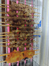 小熊（Bear）烧烤炉电烧烤炉烧烤架烤串机室内家用烤肠机烤肉机电烤炉烧烤盘单层大容量不粘无烟烤肉炉户外室内 烟紫灰 1层 实拍图
