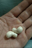 媚音隐形蓝牙耳机无线迷你小型耳机睡觉不压耳久戴不痛微型耳机小巧超小使用不闪灯上班摸鱼神器 黑色 实拍图