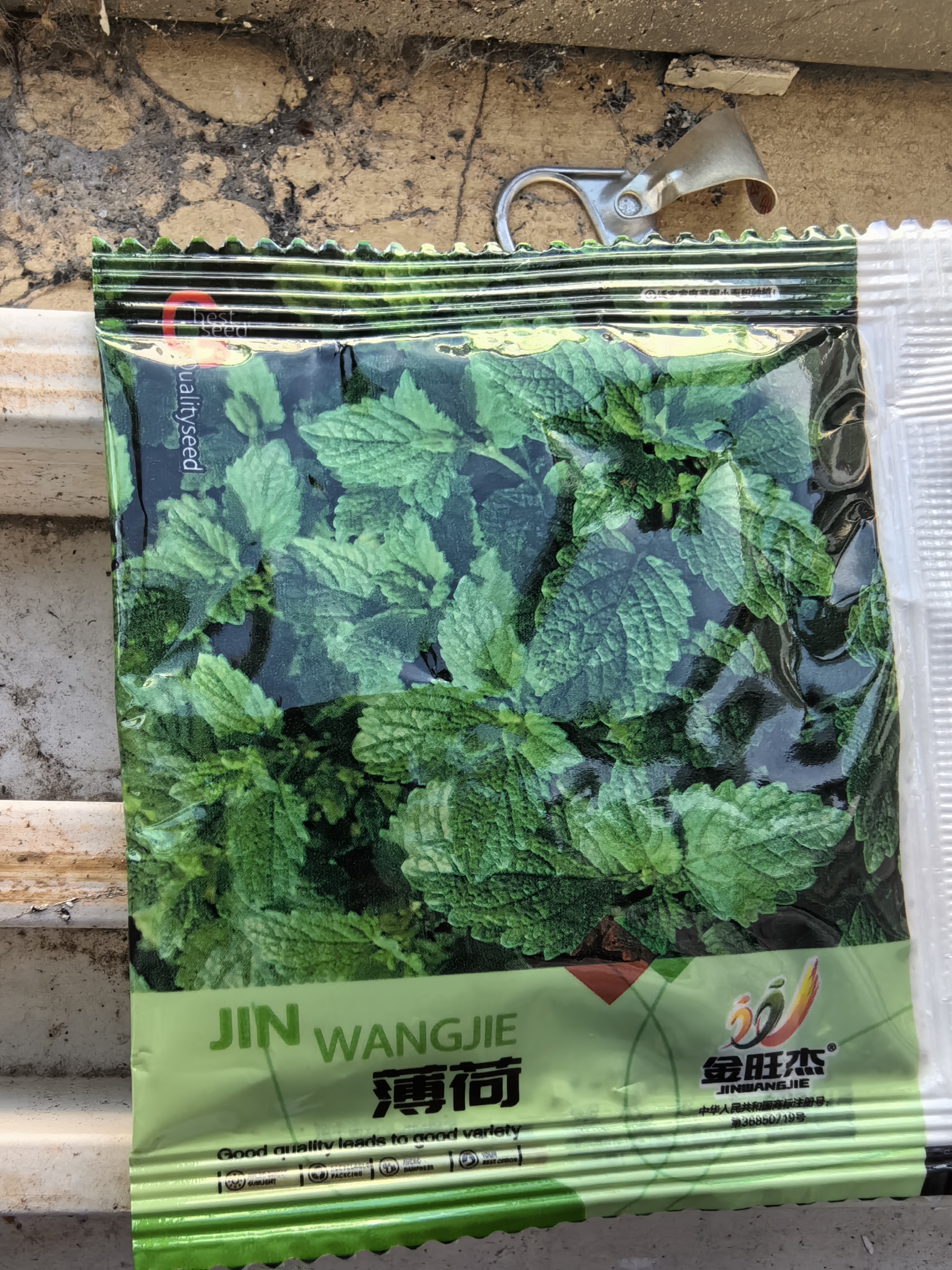 四季食用紫苏种子薄荷种子细叶苦苣种子家庭四季阳台种植盆栽驱蚊 驱蚊食用薄荷家庭种约5000粒5包 实拍图