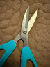 张小泉园艺强力剪绿萝剪剪刀盆景工具不锈钢整枝剪花剪刀园艺剪刀FL-4 实拍图