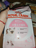 皇家幼猫猫粮 幼猫奶糕 K36 通用粮 4-12月 2KG 实拍图
