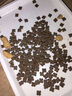 素力高（SolidGold）进口高蛋白金装金素鸡长肉营养成猫幼猫猫粮12磅/5.44kg 实拍图