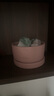 Lavas粉雪扩香晶石香薰家用卧室内香氛精油睡眠香氛生日送男女新年礼物 实拍图