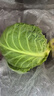 湖北农家新鲜扁包菜圆白菜卷心菜水果甘蓝蔬菜凉拌清炒火锅食材 新鲜包菜2.5-3斤含箱 实拍图