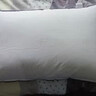 水星家纺枕头枕芯酒店枕头护颈枕头芯家用单个纯棉抗菌可水洗中枕48x74cm 实拍图