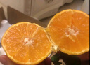 京鲜生 爱媛果冻橙 净重5斤 单果130g起 生鲜水果桔子礼盒 实拍图