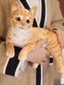 蓝诗诺小猫咪毛绒玩具仿真宠物玩偶动物模型儿童猫偶猫咪公仔送儿童礼物 橘猫【侧卧款】【长29厘米】 均码 实拍图