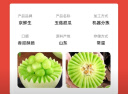 京鲜生 山东玉菇甜瓜 3-4粒 净重8-9斤装 单果2斤起 端午水果 源头直发 实拍图