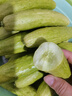 蔬果哆山东烟台海阳特产 白玉黄瓜 新鲜水果黄瓜 生吃 应季 新鲜蔬菜 一箱净重 5斤 保温箱加冰发货 实拍图