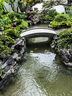 疯狂水草鱼池除藻剂去苔剂青苔清除剂2L鱼塘净水池塘变清改底解毒改善水质 实拍图
