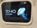 小度智能屏Mini 智能家居控制 个性化睡眠 语音通话 音箱音响 AI大模型  海量音乐 实拍图