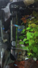 创星鱼缸加热棒电加热器自动恒温水族箱小型乌龟缸加温棒 【自动恒温】适25L缸内蓝头HCH-50W 实拍图