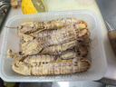 京鲜港 椒盐风味大号皮皮虾净含量500g 虾爬子鲜活熟冻 鲜嫩饱满 实拍图