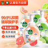滴露（Dettol）泡沫洗手液西柚+青柠250ml*4 水润泡泡抑菌补充装儿童家庭 实拍图