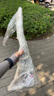 五月花海绵拖把28cm免手洗胶棉吸水拖布拖地墩布家用一拖净共2个胶棉头 实拍图