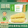 天勤粒粒净有机小香糯玉米3.5斤（8穗）鲜食糯玉米棒玉米真空包装早餐代餐 实拍图