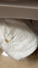 babycare皇冠LaLa裤皇室狮子王国拉拉裤 XL30+2片 大号婴儿尿不湿 成长裤 实拍图