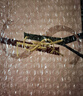 圣罗兰（YSL）粉气垫BR20限定版遮瑕持久防晒化妆品生日礼物女618抢先购 实拍图