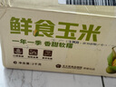 北大荒东北黄糯玉米棒 真空非转基因鲜食玉米黏玉米 4斤 实拍图
