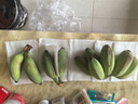 广西小米蕉小香蕉自然熟迷你香蕉苹果蕉小芭蕉新鲜水果特产鸡蕉 苹果蕉 3斤 香甜软糯 实拍图