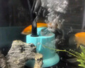迪普尔 鱼缸水泵底吸泵抽水泵循环潜水泵低吸泵过滤器专用低水位泵* 40W水泵（裸泵）-建议150cm以下鱼缸 【不含软管】 实拍图