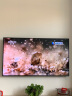 三星（SAMSUNG）55DU8000C 55英寸 平板液晶AI电视 超薄4K AI智能补帧 无开机广告 UA55DU8000CXXZ【金晨推荐】 实拍图