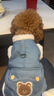 嬉皮狗（hipidog）狗狗衣服新年春节加绒保暖可牵引马甲中小型犬比熊宠物猫咪喜庆服 牛仔蓝色 L（建议体重8-11斤） 实拍图
