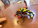 乐高（LEGO）积木拼装31159 野生动物惊奇蜘蛛男孩女孩儿童玩具生日礼物 实拍图