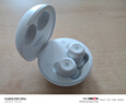 HIFIMAN（海菲曼）TWS450真无线蓝牙耳机 入耳式无线耳机 通话降噪 蓝牙5.3 适用苹果华为小米手机  实拍图