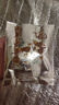 德芙（Dove）丝滑牛奶巧克力 条装43g 休闲儿童零食 糖果 生日礼物 送礼 实拍图