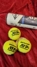 邓禄普（DUNLOP）网球ATP巡回赛用球3粒装胶罐训练球601626 实拍图