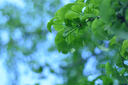 永诺 YN50mm F1.8 小痰盂单反微单标准定焦镜头 适用于索尼口ZV-E10尼康口富士口佳能口相机 YN50mm F1.8N尼康F口 实拍图