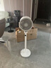 艾美特（AIRMATE）空气循环扇智能语音电风扇新款天鹅落地扇家用轻音节能负离子32档直流变频预约定时风扇一级能效 白天鹅 | 升级语音【轻音节能+32档直流】负离子 实拍图