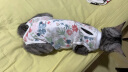 华元宠具（hoopet）猫咪绝育服宠物小狗狗母猫猫手术服透气戒奶服公猫防舔术后用衣服 实拍图
