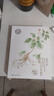 同仁堂（TRT）人参淡纹御龄面贴膜25g*5/盒 亲润呵护补充水分 淡化干纹  实拍图