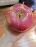 现摘当季云南昭通野生丑苹果冰糖心苹果水果新鲜脆甜大果5/10斤 特大果90mm-95mm脆甜 10斤 实拍图