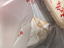 狗不理包子 纯手工猪肉大葱560g 16个面点小笼包早餐天津包子特产 实拍图