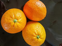 囍成双美国新奇士橙黑标3107脐橙大果sunkist进口橙子美橙水果整箱送礼 精品5斤【礼盒装】 实拍图