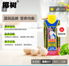 椰树牌 正宗椰子汁  330ml*24盒整箱装  植物蛋白饮料 实拍图