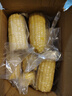 京鲜生东北白糯玉米200g*8棒 新鲜甜糯玉米棒真空包装粘玉米 源头直发 实拍图